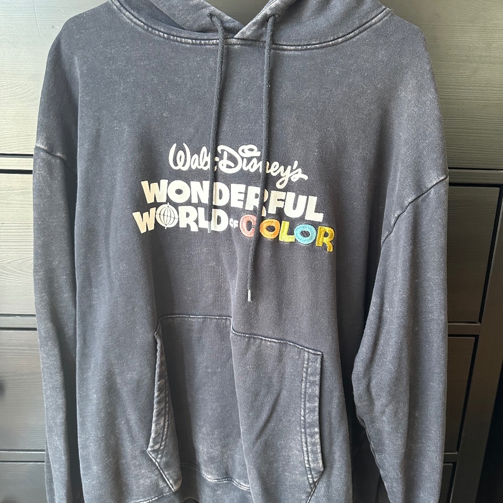 Disney Wonderful World of Color hoodie